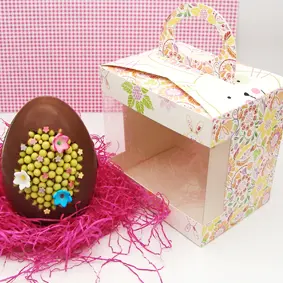 Caixa de Ovo de Ganso